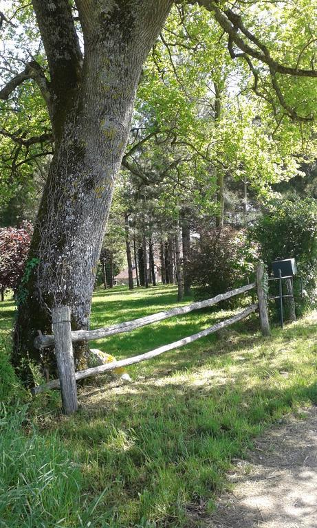 Gite De Serre Le Grand-Pressigny Exterior foto